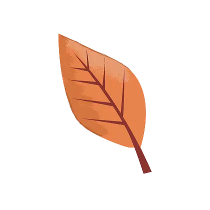 leaf