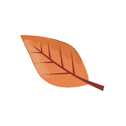 leaf