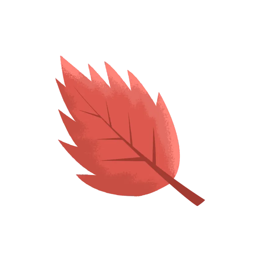 leaf