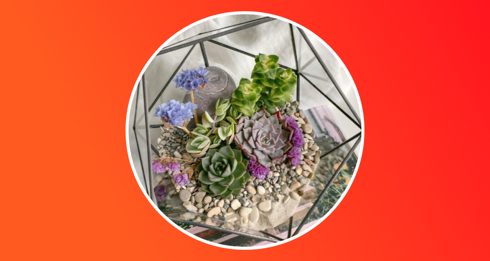 Флорариум со светолюбивыми суккулентами «Каменный садик»